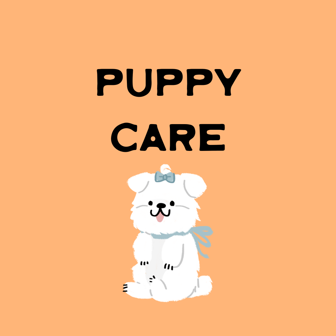 Puppy Care