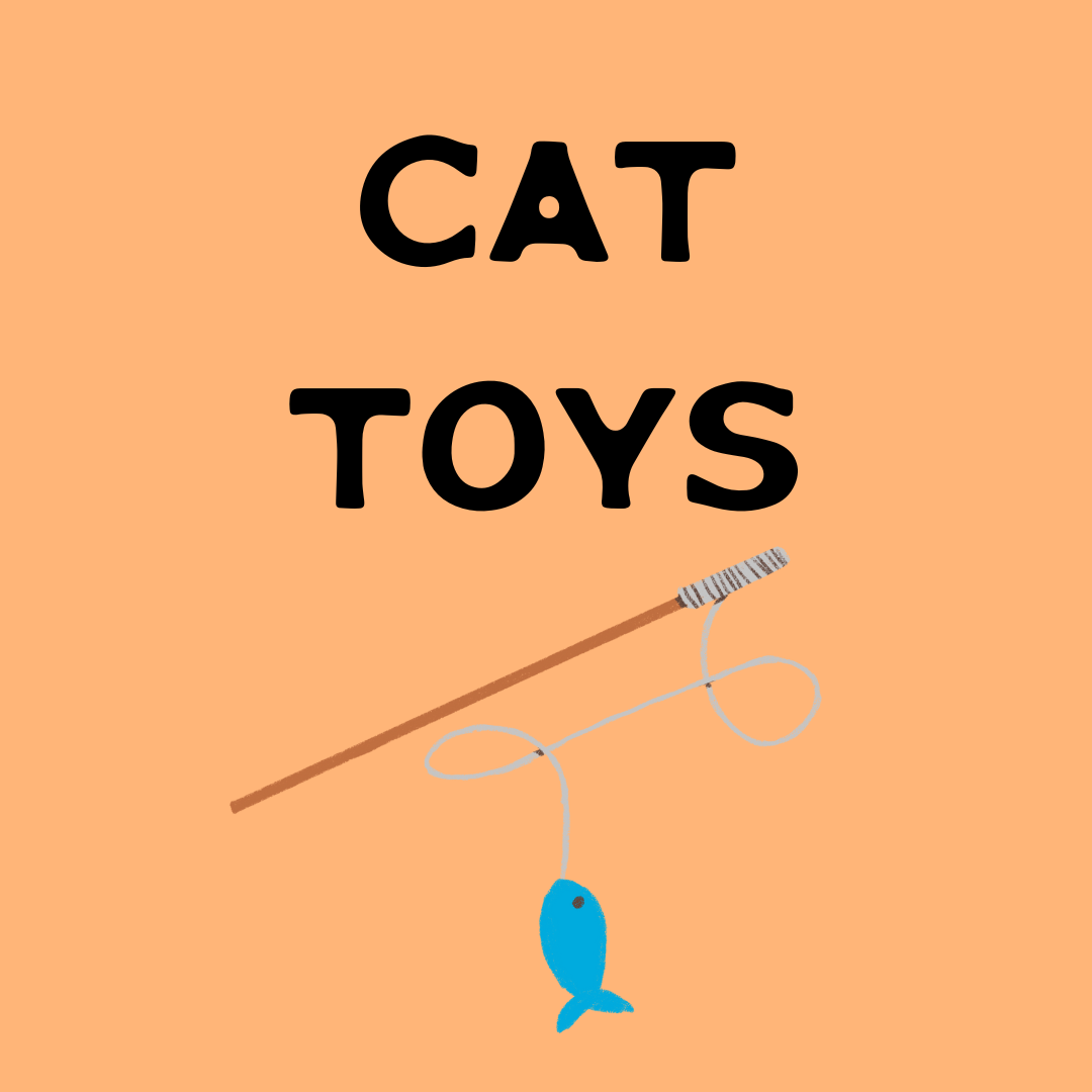 cat toys
