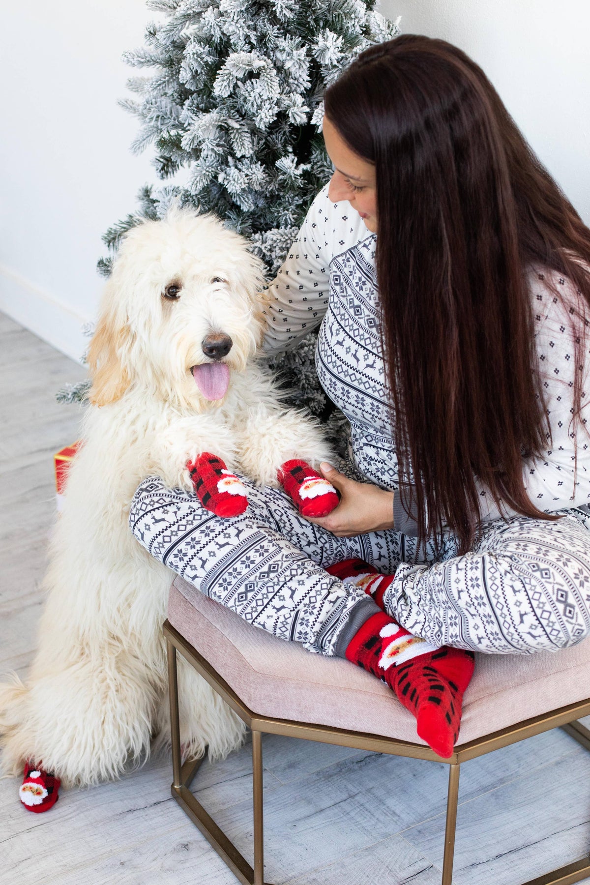 Human and Dog Matching Christmas Sock Set, Santa