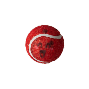 Behind Mars 2pk Tennis Squeaky Balls Dog Toy