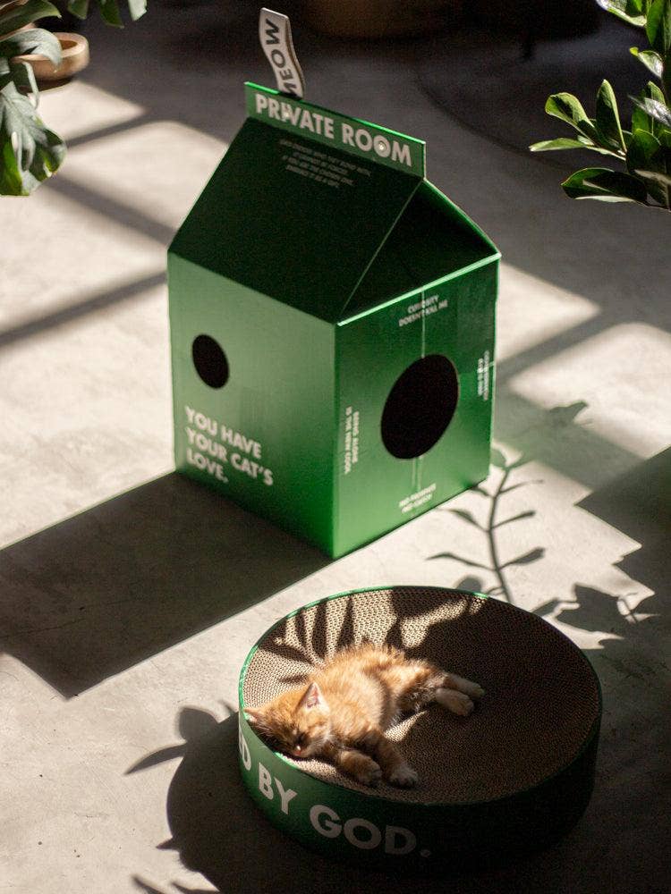 Cat scratch house green