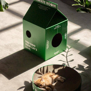 Cat scratch house green