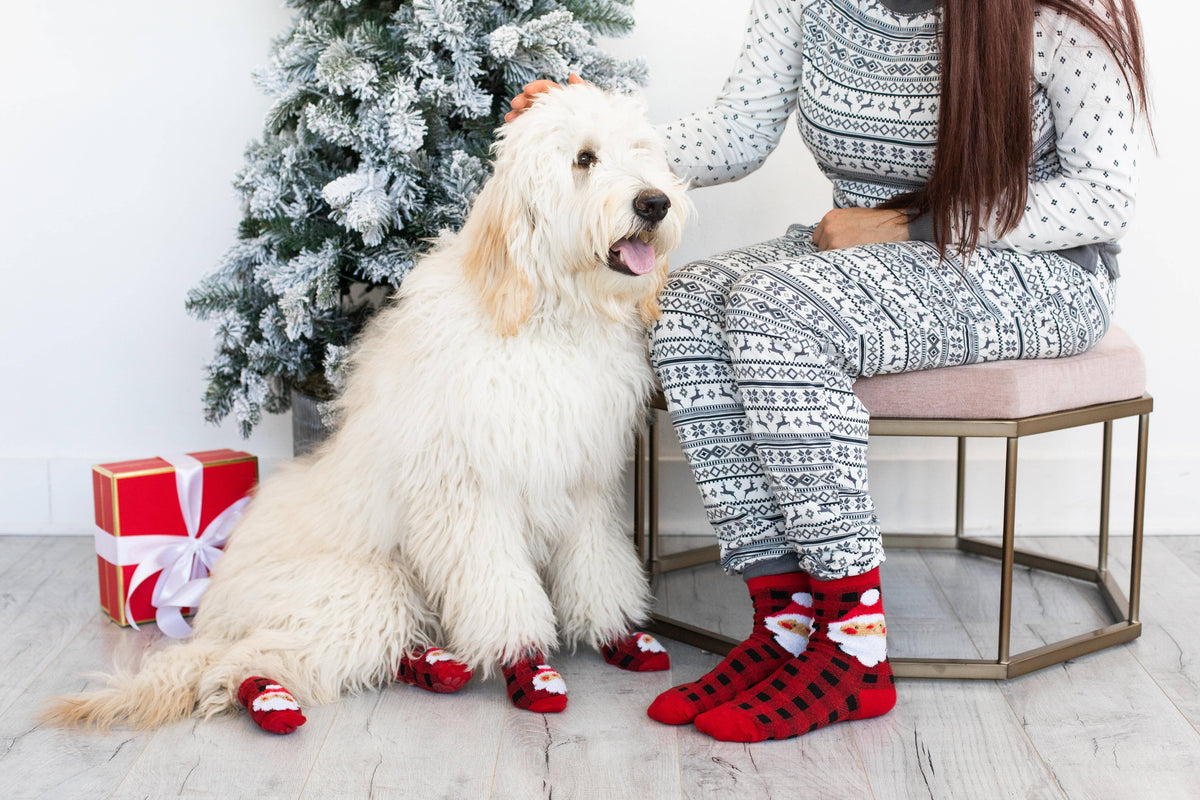 Human and Dog Matching Christmas Sock Set, Santa