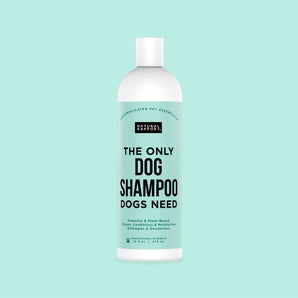The Only Dog Shampoo Dogs Need