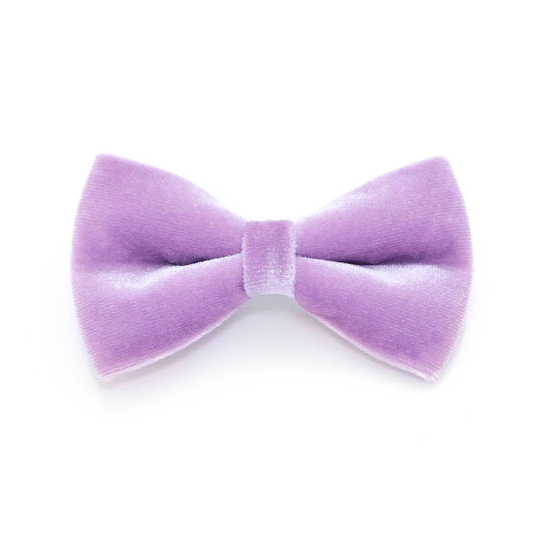 "Velvet - Lavender" - Bow Tie for Cats + Small Dogs
