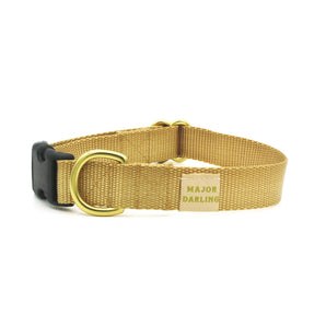Gold Side-Release Buckle Collar