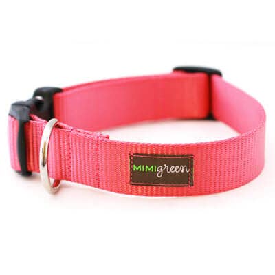 Strawberry Nylon Collar