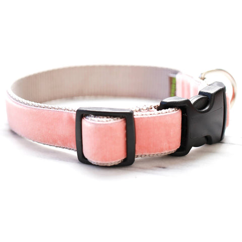 Coral Pink Velvet Dog Collar – ‘Peaches’