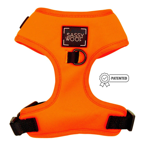 Neon Orange Adjustable Dog Harness
